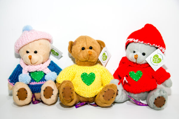 Cransley Bear in Knitted Jumper