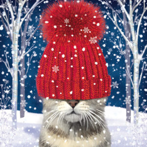 Cat in a hat