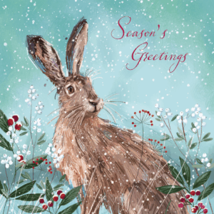 Winter Hare
