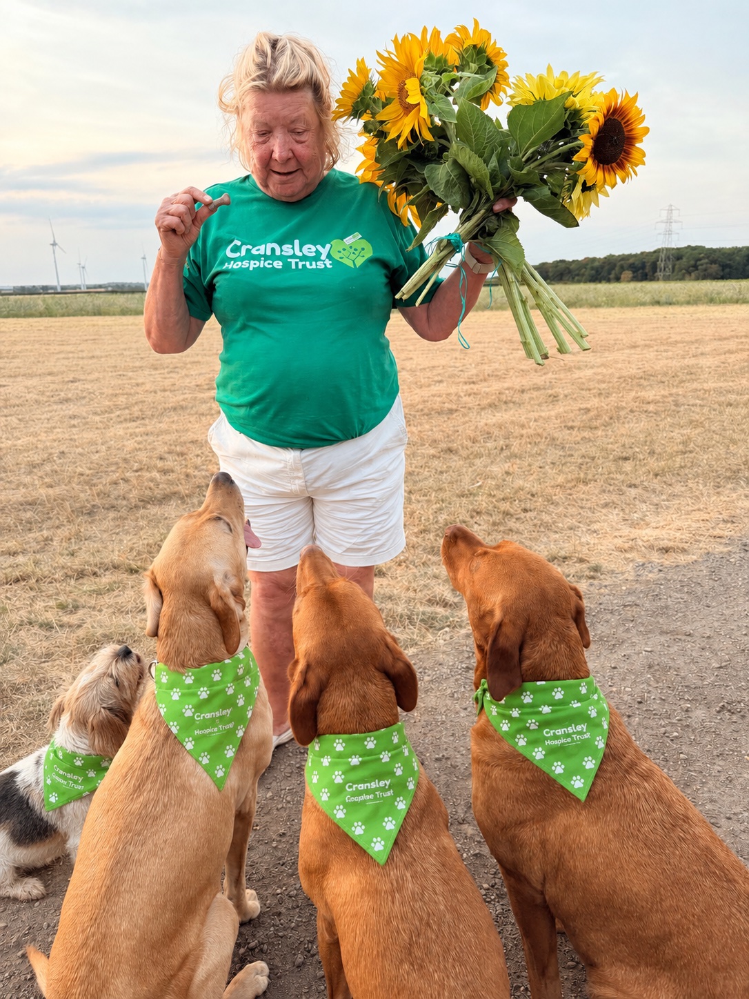 One Size Dog Bandana - Image 4