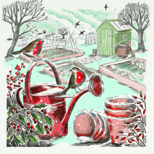 Garden Robins